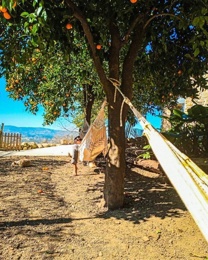 Verde Agua Agroturismo E Agricultura Biologica Couto Εξωτερικό φωτογραφία
