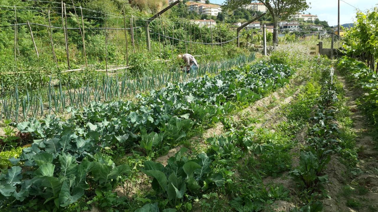 Verde Agua Agroturismo E Agricultura Biologica Couto Εξωτερικό φωτογραφία