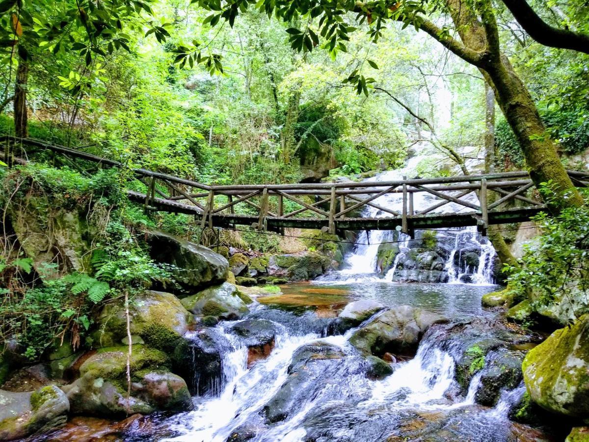 Verde Agua Agroturismo E Agricultura Biologica Couto Εξωτερικό φωτογραφία