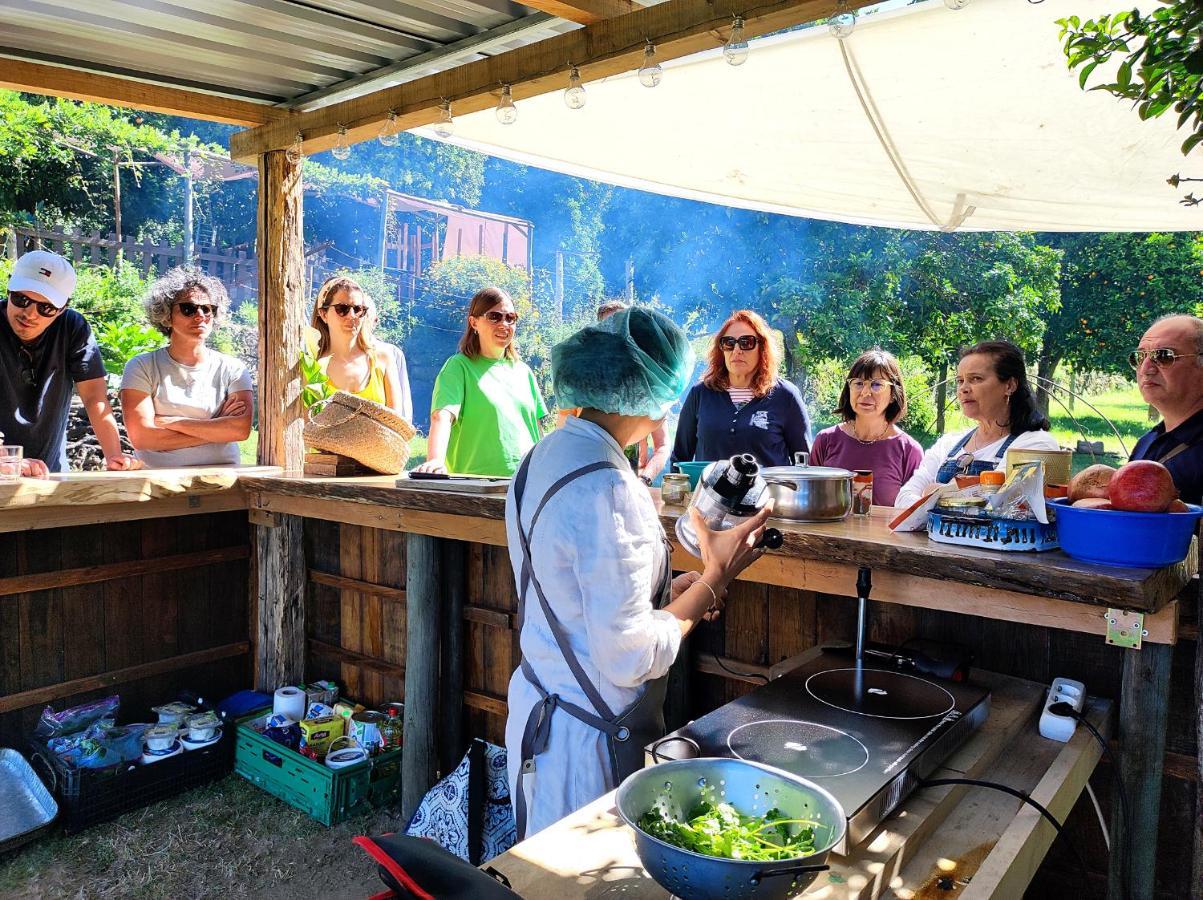 Verde Agua Agroturismo E Agricultura Biologica Couto Εξωτερικό φωτογραφία