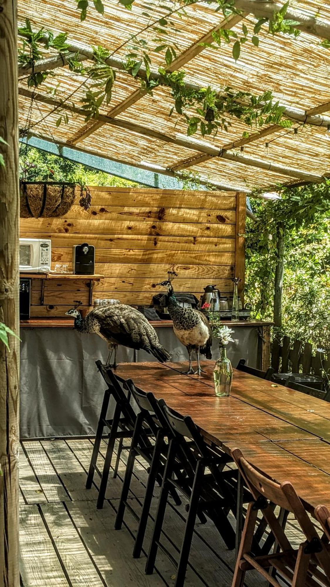 Verde Agua Agroturismo E Agricultura Biologica Couto Εξωτερικό φωτογραφία